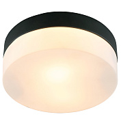 Светильник потолочный Arte Lamp AQUA-TABLET A6047PL-1BK 60Вт E27