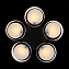 Люстра потолочная Evoluce FORESTA SL483.402.05 60Вт 5 лампочек E27