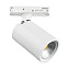 Трековый светильник Lightstar Rullo 212936 50Вт GU10 белый для однофазного трека