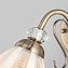Светильник настенный Eurosvet Floranse 30155/1 античная бронза 60Вт E27