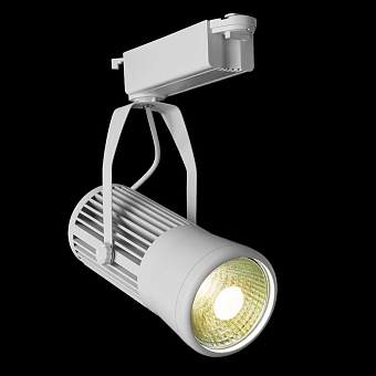 Трековый светильник Arte Lamp RICORDO A6330PL-1WH 30Вт LED COB белый для однофазного трека