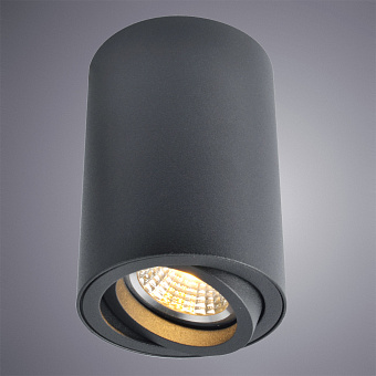 Светильник потолочный Arte Lamp SENTRY A1560PL-1BK 50Вт GU10