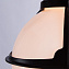 Светильник фасадный Arte Lamp MONACO A1495SO-1BK 75Вт IP44 E27 чёрный