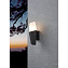 Светильник фасадный EGLO FARINDOLA 900682 25Вт IP44 E27 чёрный