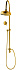Душевой комплект CAPRIGO PARTS 99-064-oro золото