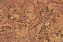 Настенная пробка CORKSTYLE WALL DESIGN Vico Red VICO RED 600х300х3мм 1,98кв.м