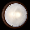 Светильник настенно-потолочный Sonex Lufe Wood 236 200Вт E27