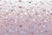 Настенная плитка ALMA CERAMICA Лила TWU07LIL005 на белом розовая 36,4х24,9см 1,36кв.м. глянцевая