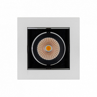 Светильник карданный Arlight CL-Kardan 024126 9Вт LED