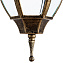 Светильник фасадный Arte Lamp PEGASUS A3151SO-1BN 60Вт IP44 E27 золотой/чёрный