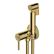 Гигиенический душ WASSERKRAFT Встраиваемая продукция A70738 золотой