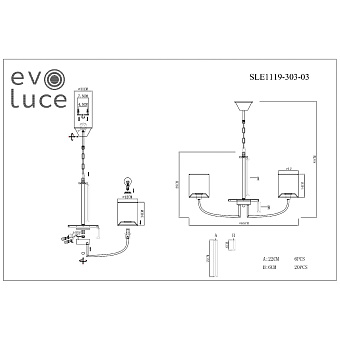 Светильник подвесной Evoluce ELLISSE SLE1119-303-03 120Вт E14