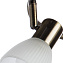 Спот Arte Lamp PARRY A5062PL-3AB 40Вт 3 лампы E14