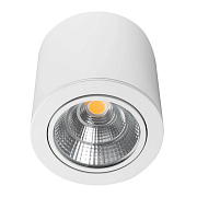 Светильник точечный накладной Arlight SP-Focus 021066 30Вт LED