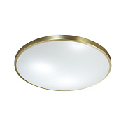 Светильник настенно-потолочный Sonex Lota Bronze 2089/DL 48Вт LED