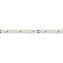 Светодиодная лента Arlight 019675 6Вт/м 5000мм IP20 тёплый белый свет