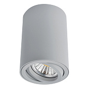 Светильник потолочный Arte Lamp SENTRY A1560PL-1GY 50Вт GU10