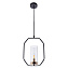 Светильник подвесной Arte Lamp CELAENO A7004SP-1BK 60Вт E14