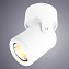 Светильник потолочный Arte Lamp LIBRA A3316PL-1WH 50Вт GU10