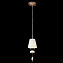 Светильник подвесной Maytoni Roma ARM006PL-01G 40Вт E14