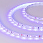 Светодиодная лента Arlight 012813 4,8Вт/м 5000мм IP20 ультрафиолет свет