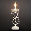 Настольная лампа Eurosvet Etna 12205/1T белый Strotskis 40Вт E14