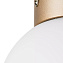 Светильник настенно-потолочный Lightstar Globo 812013 40Вт E14