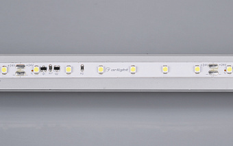Светодиодная лента Arlight 024989 4,8Вт/м 10000мм IP20 дневной белый свет
