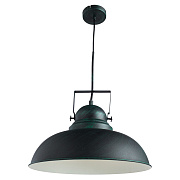 Светильник подвесной Arte Lamp MARTIN A5213SP-1BG 75Вт E27