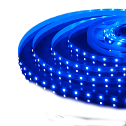 Светодиодная лента Elektrostandard a040994 2835 4,8Вт/м 5000мм IP20 синий свет