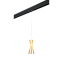 Трековый светильник Lightstar Dumo PRO816011 40Вт E14 золото для однофазного трека