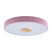Светильник потолочный Loft It Axel 10003/24 Pink 24Вт LED