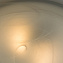 Светильник настенно-потолочный Arte Lamp SYMPHONY A3440PL-2CC 60Вт E27