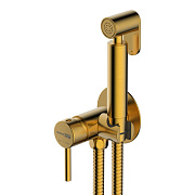 Гигиенический душ WASSERKRAFT Встраиваемая продукция A70838 золотой