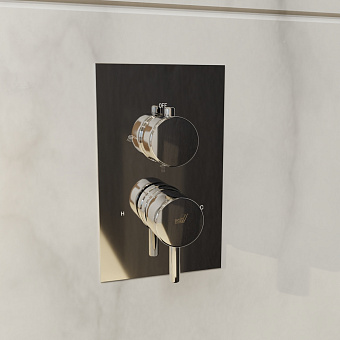 Душевая система RGW Shower Panels 50140802-01 SP-6343-01 хром