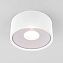 Светильник фасадный Elektrostandard Light a057471 35141/H 12Вт IP65 LED белый