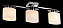 Светильник потолочный Freya Bice FR5101-CL-03-CN 40Вт E14