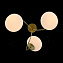 Светильник потолочный Evoluce ACINI SL717.202.03 120Вт E27