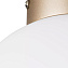 Светильник настенно-потолочный Lightstar Globo 812023 40Вт E14