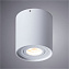 Светильник потолочный Arte Lamp FALCON A5645PL-1WH 50Вт GU10