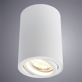 Светильник потолочный Arte Lamp SENTRY A1560PL-1WH 50Вт GU10
