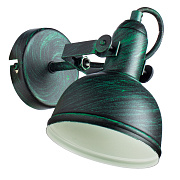Спот Arte Lamp MARTIN A5213AP-1BG 40Вт 1 лампа E14