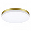 Светильник фасадный Novotech OPAL 358892 40Вт IP54 LED золото