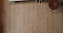 Ламинат Floorpan GREEN Дуб Болонья FP109 1380х195х7мм 31 класс 2,691кв.м