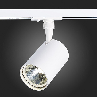 Трековый светильник ST Luce CAMI ST351.546.20.24 20Вт LED матовый белый для однофазного трека