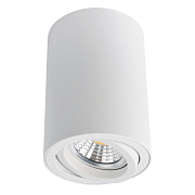 Светильник потолочный Arte Lamp SENTRY A1560PL-1WH 50Вт GU10