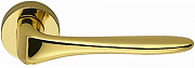Дверная ручка нажимная COLOMBO Madi AM31 полированная латунь