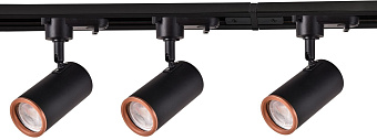 Трековый светильник Favourite Imago 4022-3U 30Вт GU10 LED белый для однофазного трека