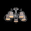 Люстра потолочная Evoluce AZZURRO SL177.102.05 40Вт 5 лампочек E14
