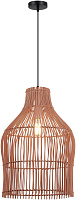 Светильник подвесной ST Luce CESTA SL1513.513.01 40Вт E27